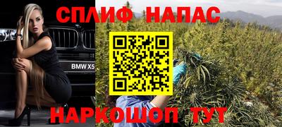 стафф Лесосибирск