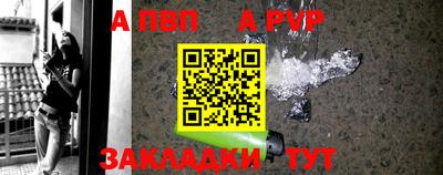стафф Лесосибирск