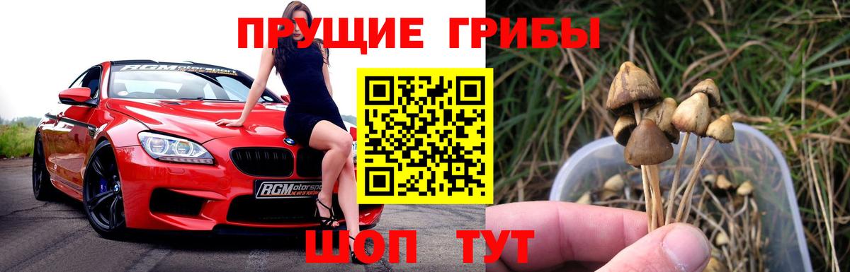 Чапаевск  Псилоцибиновые грибы прущие грибы  Галлюциногенные грибы MAGIC MUSHROOMS  Вход с VPN 